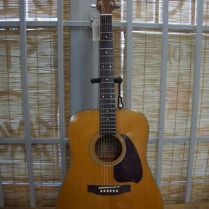1982 Ibanez V300: Natural Acoustic Guitar: Made in Japan