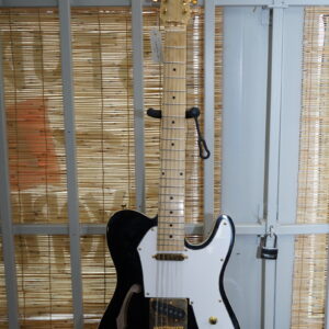 Cozart Telecaster 12 - String Electric Guitar