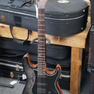 Kiesel Delos Custom Guitar