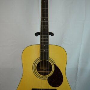 Samick D5SRN Pro Acoustic Guitar