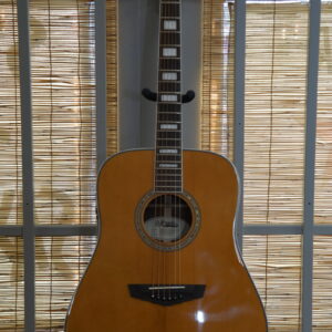 D'Angelico Premier Lexington Acoustic Electric Dreadnaught Guitar