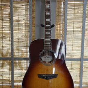 D'Angelico Premier Tammany LS Acoustic Electric Guitar