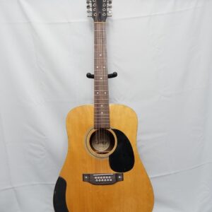 Vintage 1981Jester 12 String: Made in Holland: Infamous Copy of Martin