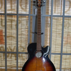 Fender FA-450CE Acoustic Electric Bass 3TS