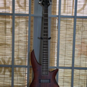 Jackson Spectre V 5 String Bass