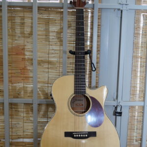 Jasmine by Takamine ""J Series"" OM A/E Cutaway (Natural)