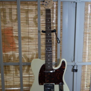 NGW 120 Single Cut (Tele-Style) Electric Guitar with Rosewood FB