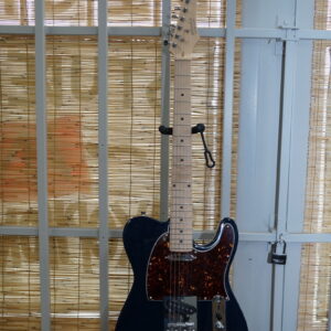 NGW 125 Single Cut (Tele-Style) Electric Guitar with Maple FB