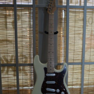NGW 135 Double Cut (Strat-Style) Electric Guitar with Maple FB