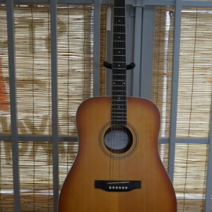 NGW D-10 Dreadnaught Acoustic: Edge Burst
