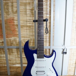 Samick Greg Bennett Malibu MB2