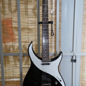 Samick JTR Series ""Rose"" with Telecaster Configuration