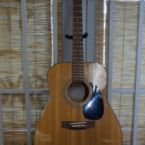 Takamine G240 Acoustic Guitar