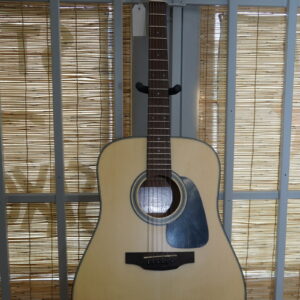 Takamine GLD12E Acoustic Electric Guitar Natural Satin