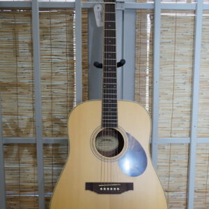 Vantage Acoustic Dreadnaught Solid Top