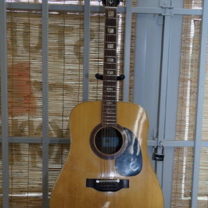 Vintage Epiphone FT-165 Bard 12 Acoustic 12-String Guitar - 1970s