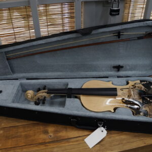 Violin: Aliyes 4/4 Decorative Starter Violin