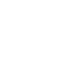 No Styled Guitar